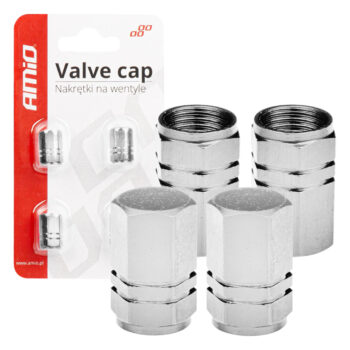 Aluminium ventieldopjes zilverkleurig, 4 stuks