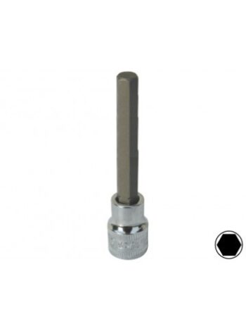 DOP 3/8" BINNENZESKANT H4 (100MM LANG)